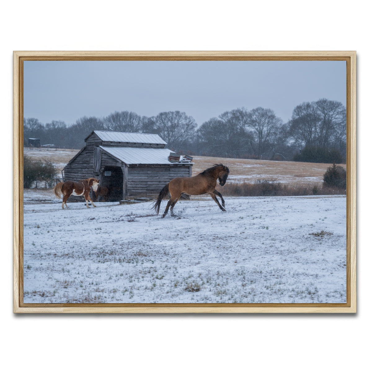 AUTO-MOCKUP WHITE | Williamston South Carolina Farm Horse | 1 Piece | Natural Framed Canvas | group=4x3