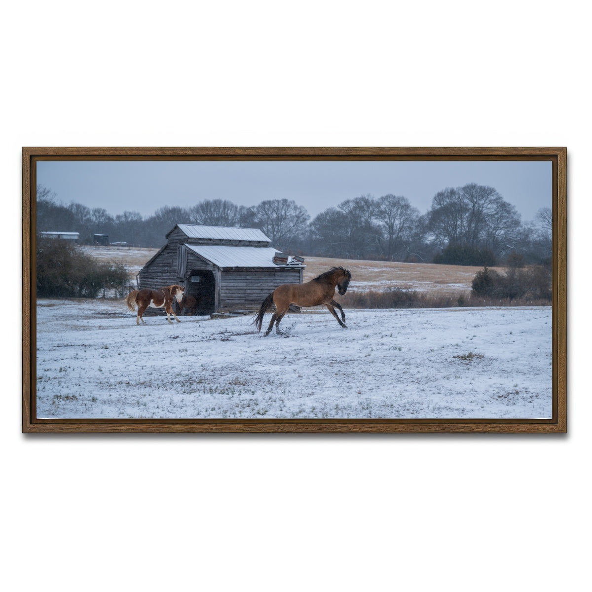 AUTO-MOCKUP WHITE | Williamston South Carolina Farm Horse | 1 Piece | Walnut Framed Canvas | group=2x1
