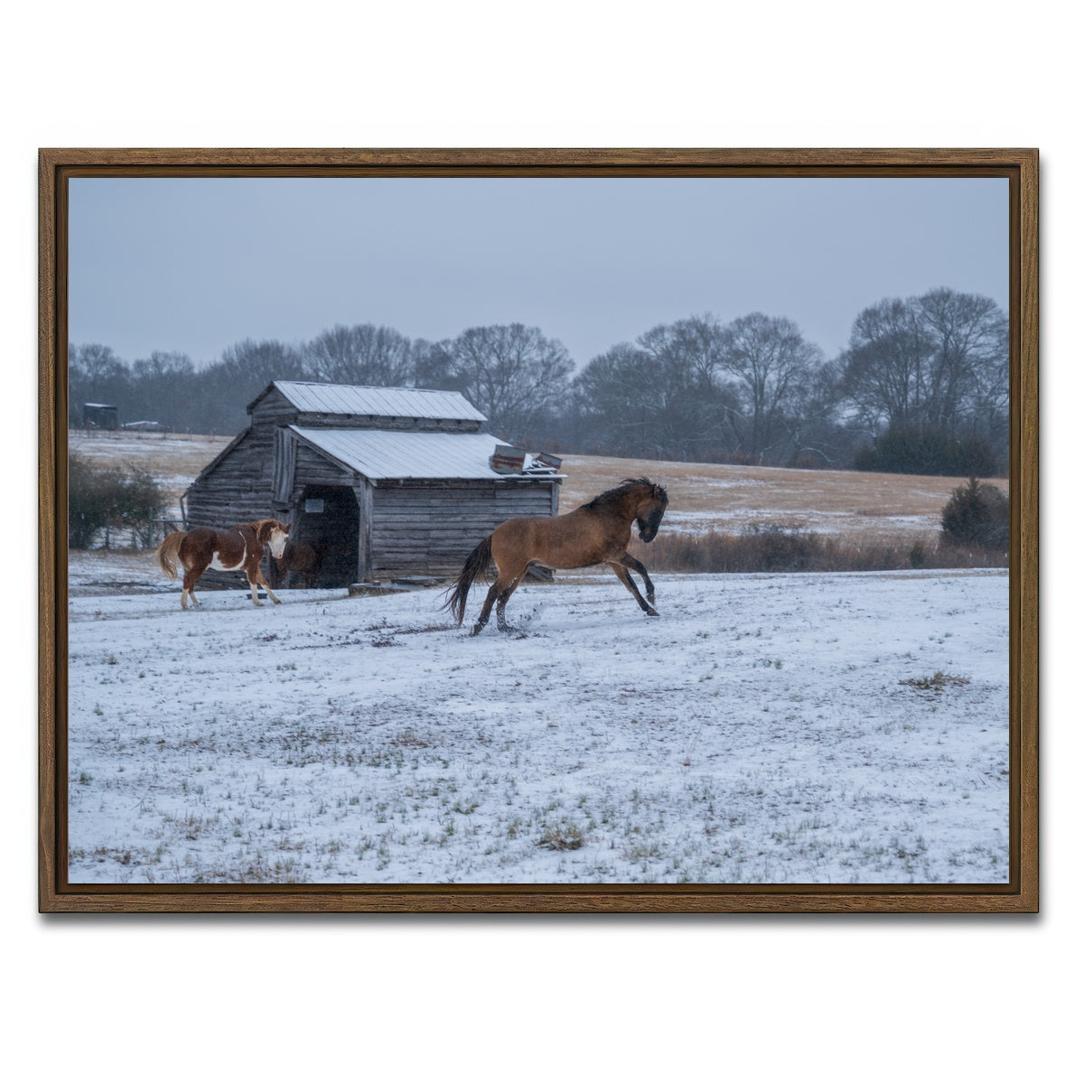 AUTO-MOCKUP WHITE | Williamston South Carolina Farm Horse | 1 Piece | Walnut Framed Canvas | group=4x3