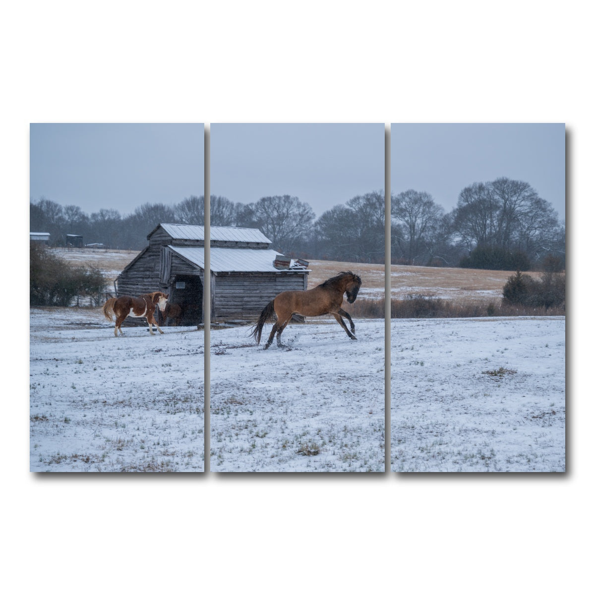 AUTO-MOCKUP WHITE | Williamston South Carolina Farm Horse | 3 Piece | Gallery Wrap Canvas | group=12x24