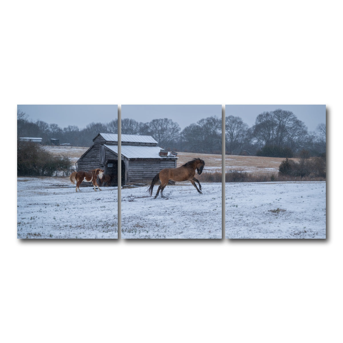 AUTO-MOCKUP WHITE | Williamston South Carolina Farm Horse | 3 Piece | Gallery Wrap Canvas | group=18x24
