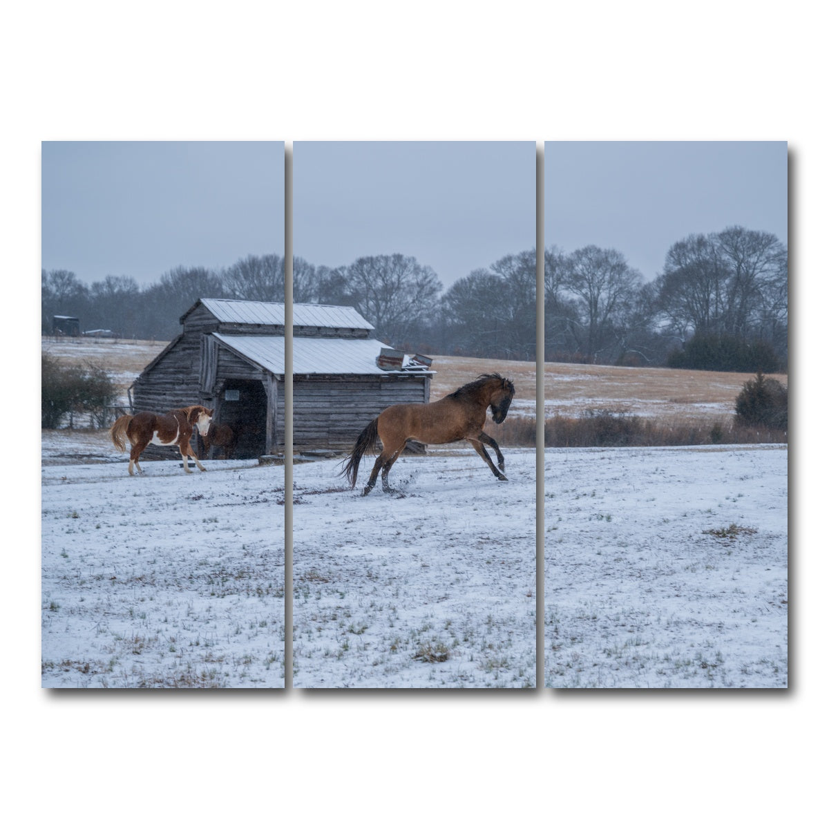 AUTO-MOCKUP WHITE | Williamston South Carolina Farm Horse | 3 Piece | Gallery Wrap Canvas | group=8x18