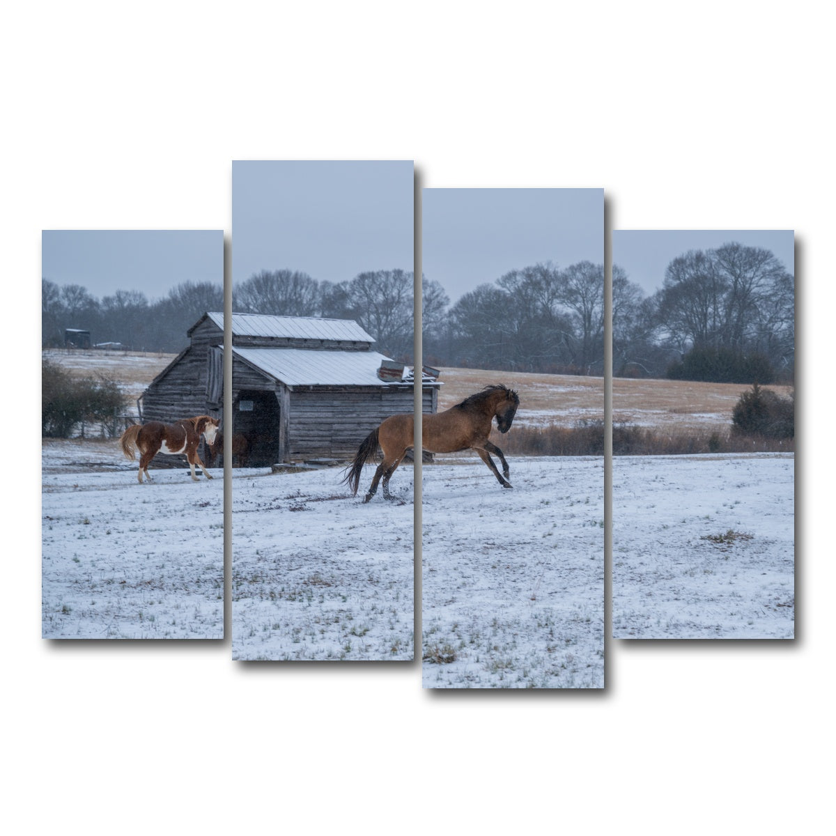 AUTO-MOCKUP WHITE | Williamston South Carolina Farm Horse | 4 Piece | Gallery Wrap Canvas | group=4_normal