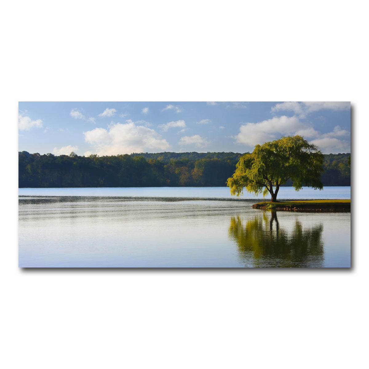 AUTO-MOCKUP WHITE | Willow tree on the Tennessee River | 1 Piece | Gallery Wrap Canvas | group=2x1