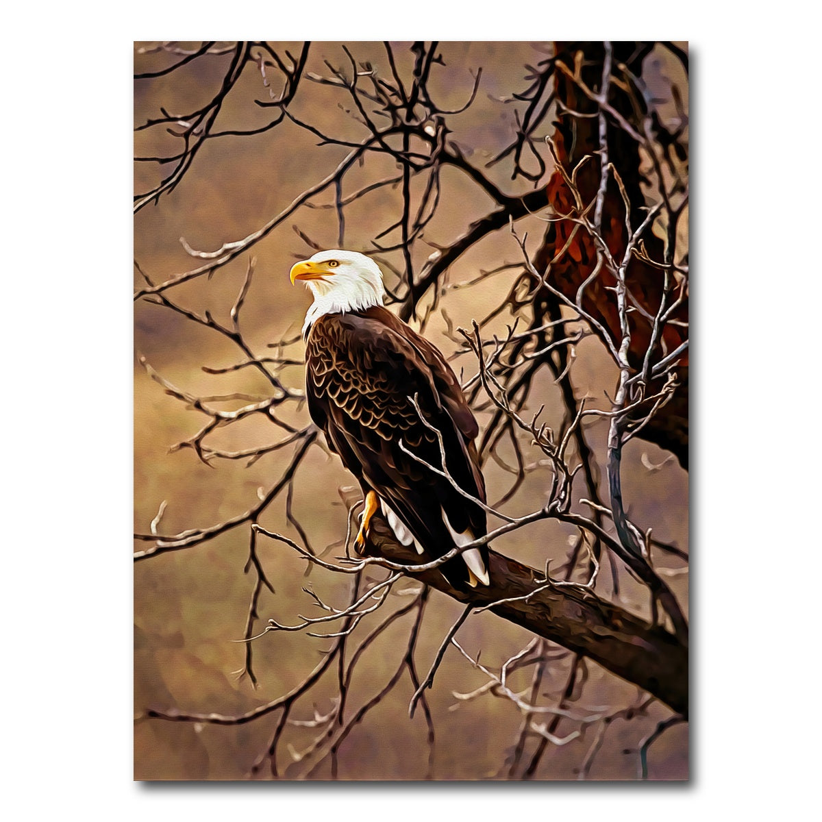 AUTO-MOCKUP WHITE | bald eagle | 1 Piece | Gallery Wrap Canvas | group=3x4