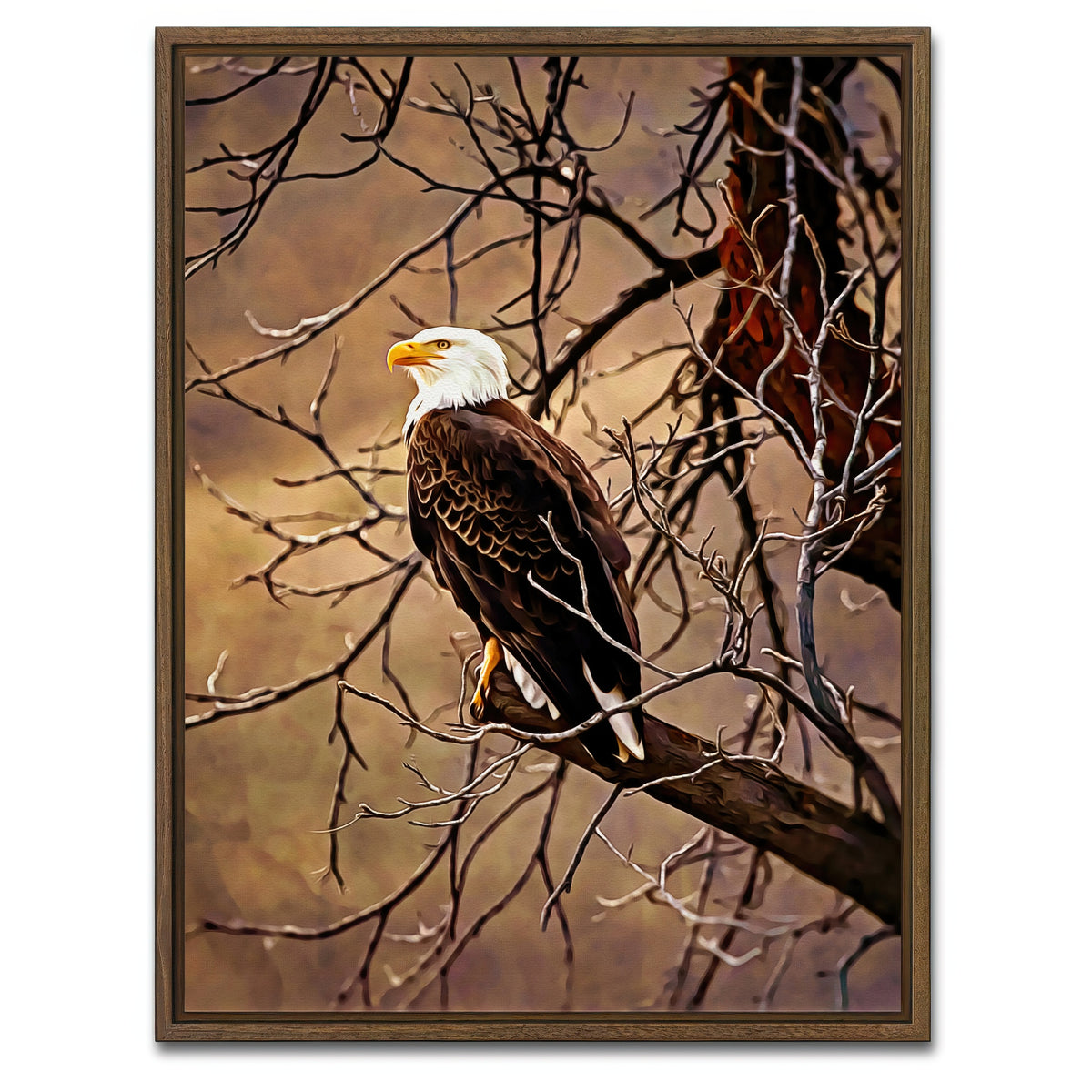 AUTO-MOCKUP WHITE | bald eagle | 1 Piece | Walnut Framed Canvas | group=3x4