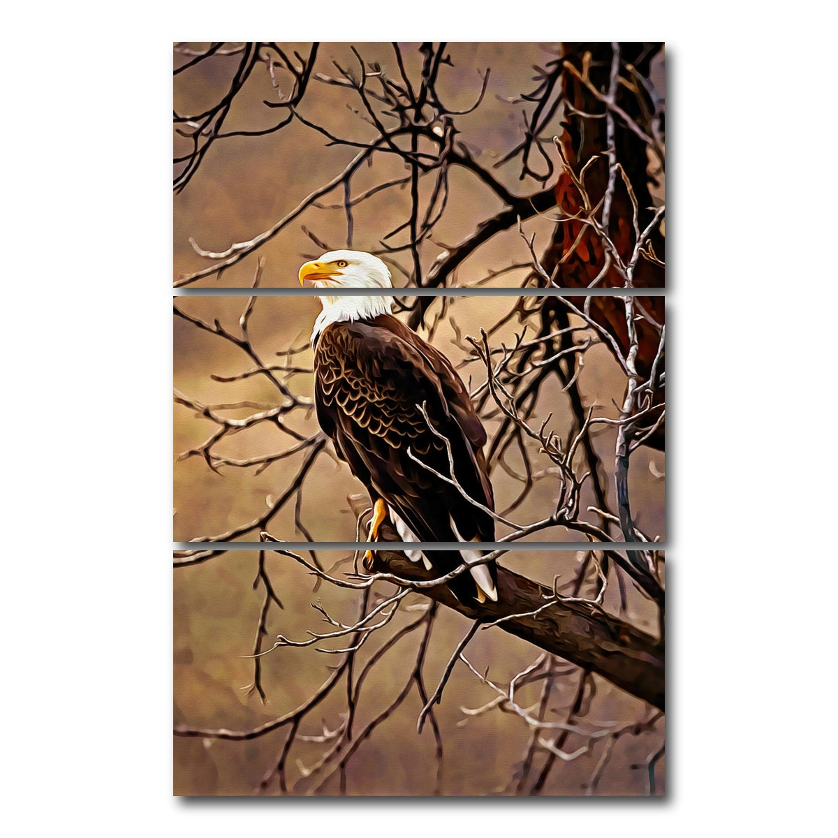 AUTO-MOCKUP WHITE | bald eagle | 3 Piece | Gallery Wrap Canvas | group=12x24_stacked