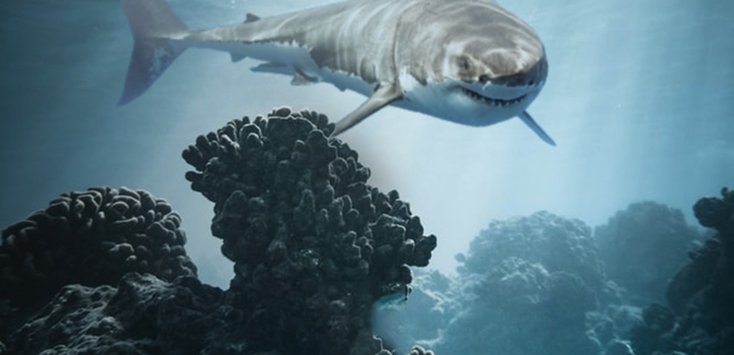 Samejrich collection hero - Underwater Terror