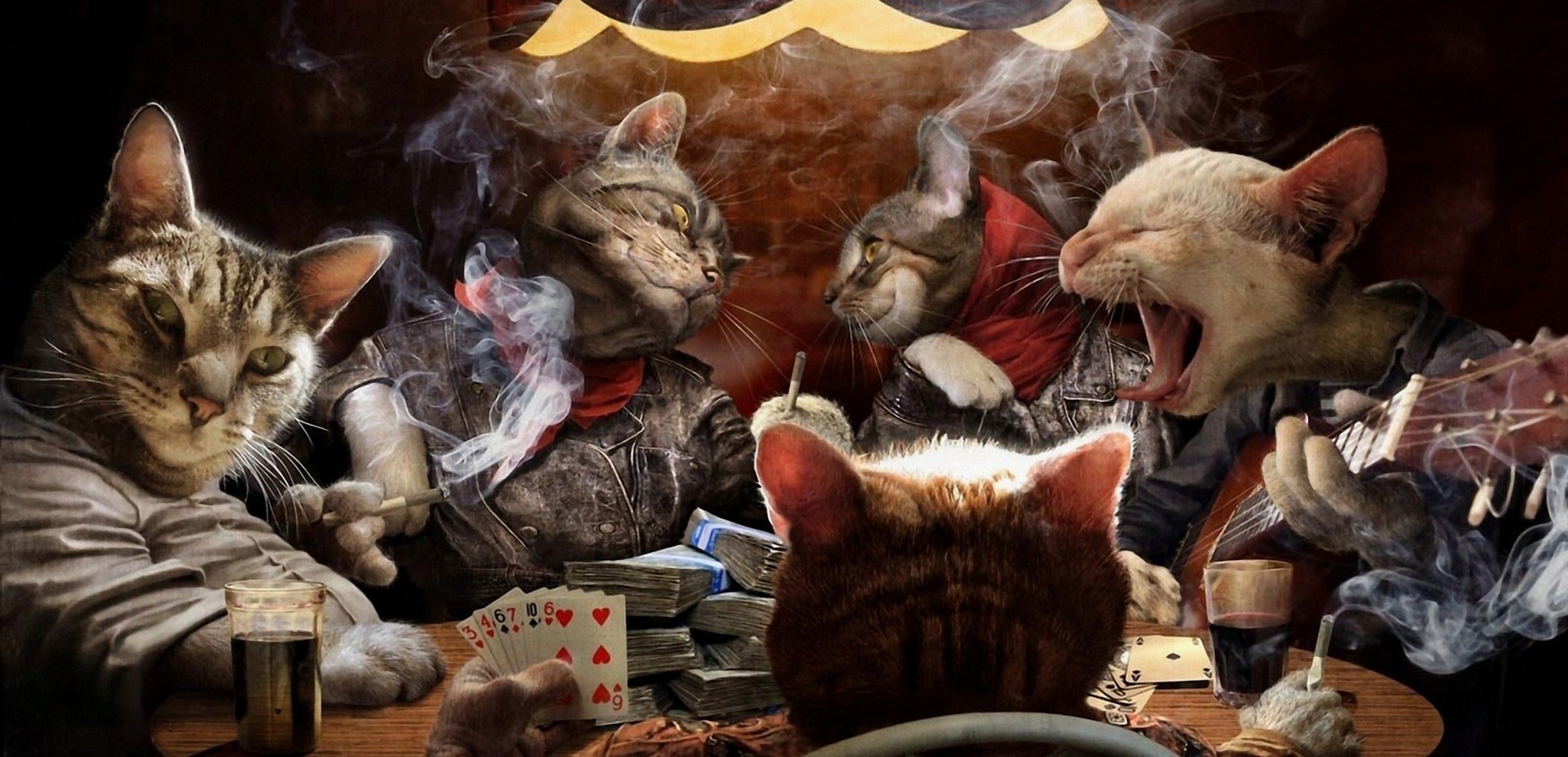 Cats collection hero - Cats Playing Poker