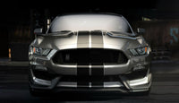 2018 Shelby GT350 Wall Art