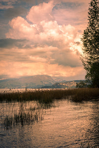 A painting from a Lake Wall Art