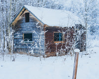 Abandoned Cabin Wall Art