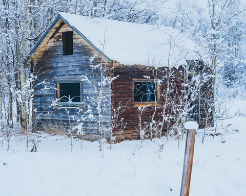 Abandoned Cabin Wall Art