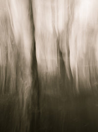 Abstract Heath Wall Art