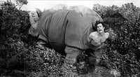 Ace Ventura Rhino Birth - Grayscale Wall Art