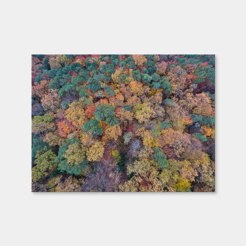 AUTO-MOCKUP WHITE | Aerial Fall | 1 Piece | Gallery Wrap Canvas | group=4x3