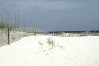 Alabama Gulf Coast Wall Art