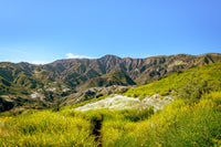 Alexander Peak Wall Art