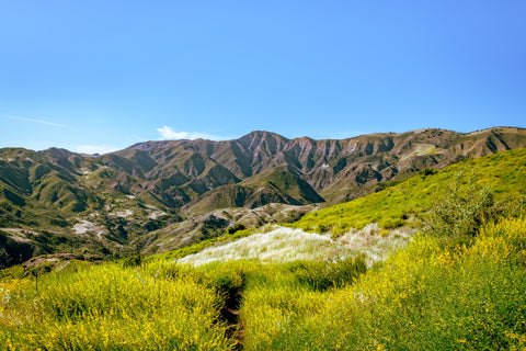 Alexander Peak Wall Art