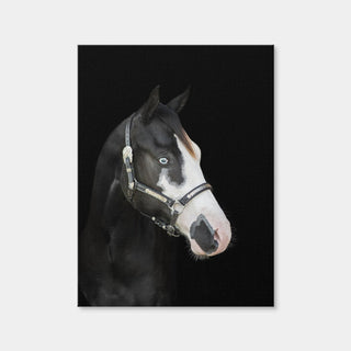 AUTO-MOCKUP WHITE | American Paint Horse | 1 Piece | Gallery Wrap Canvas | group=3x4