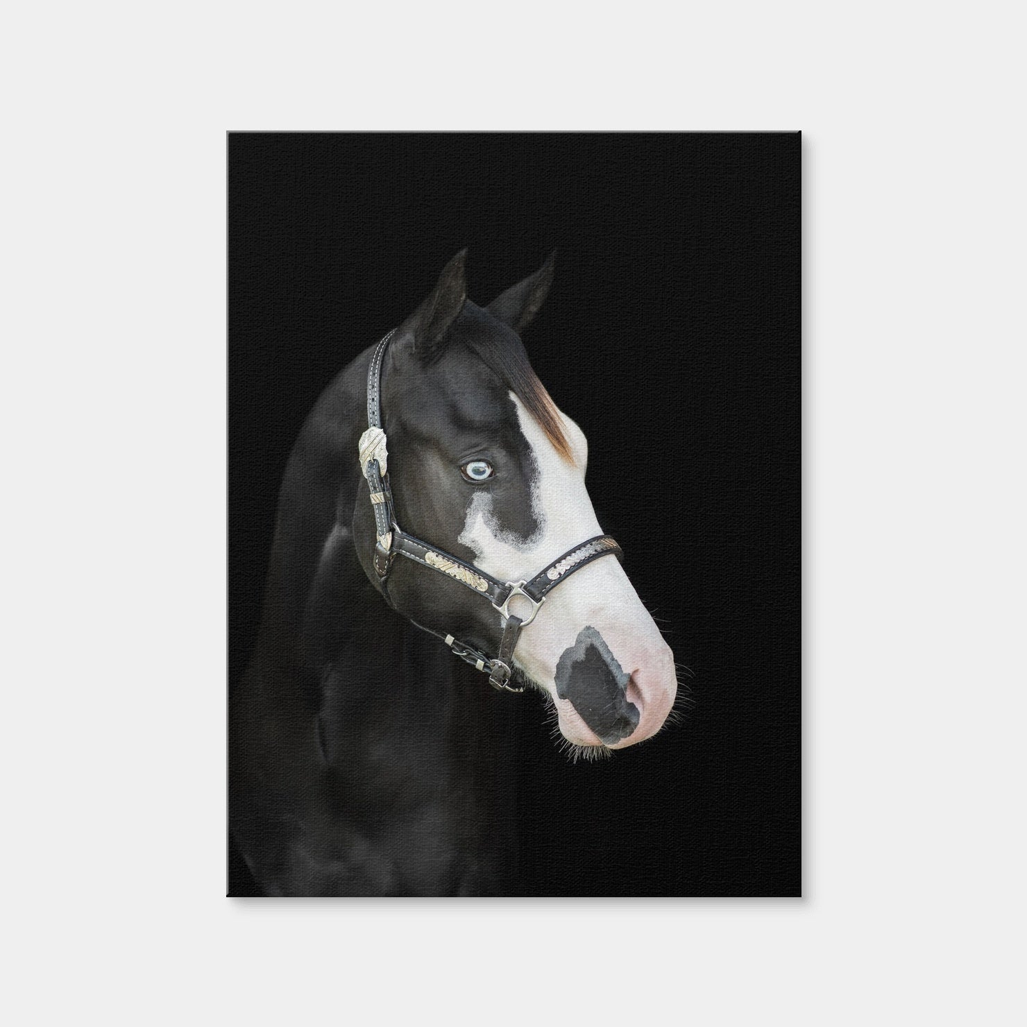 AUTO-MOCKUP WHITE | American Paint Horse | 1 Piece | Gallery Wrap Canvas | group=3x4