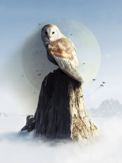 Ancestral Owl Wall Art