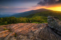 Appalachian Trail Roan Mountain state Park Wall Art