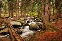 Arapaho National Forest Mountain Stream Wall Art