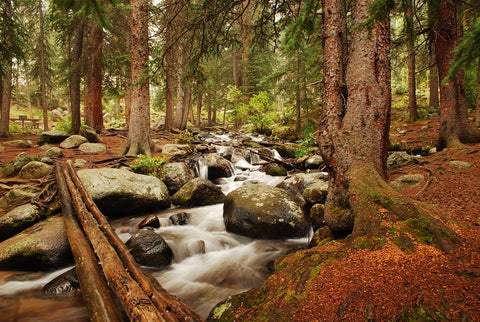 Arapaho National Forest Mountain Stream Wall Art