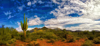 Arizona Desert Wall Art