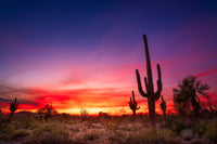 Arizona Landscape Wall Art