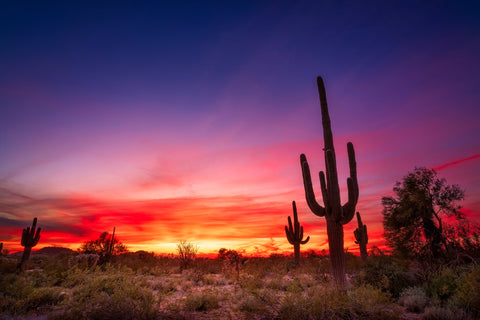 Arizona Landscape Wall Art