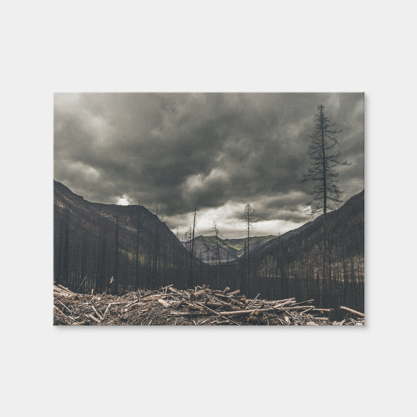 AUTO-MOCKUP WHITE | Ash and Clouds | 1 Piece | Gallery Wrap Canvas | group=4x3