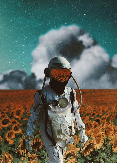 Astro Sun Flower Wall Art