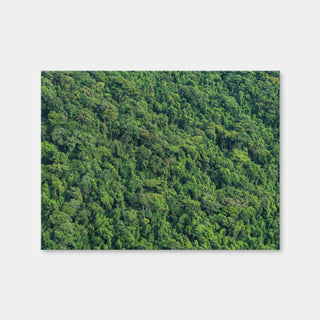 AUTO-MOCKUP WHITE | Atlantic Forest | 1 Piece | Gallery Wrap Canvas | group=4x3