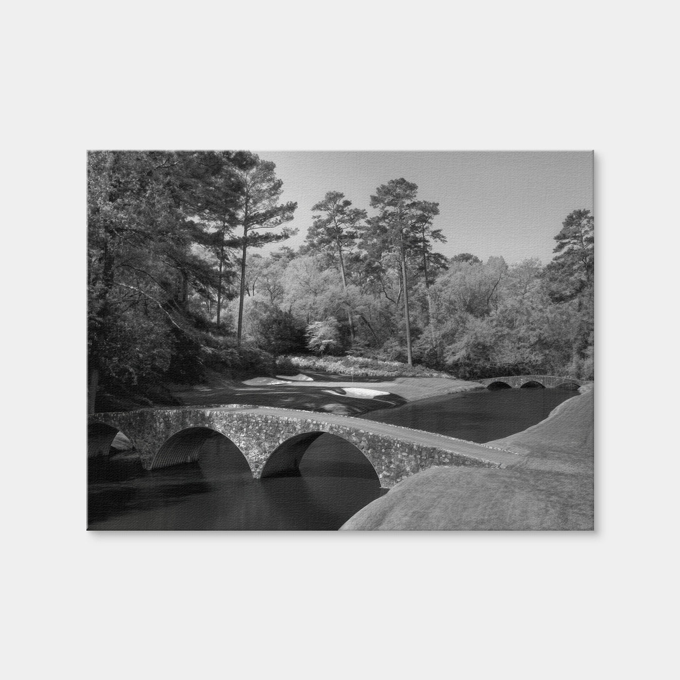 AUTO-MOCKUP WHITE | Augusta National Grayscale | 1 Piece | Gallery Wrap Canvas | group=4x3