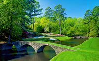 Augusta National Painted Wall Art
