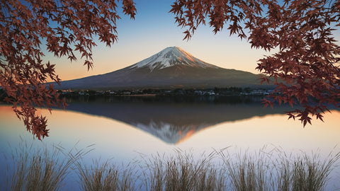Autumn In Japan Wall Art