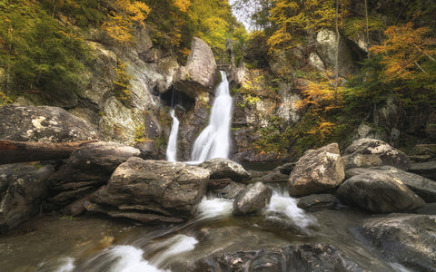 Autumn Treasure Wall Art