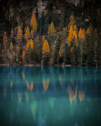Autumn reflections Wall Art