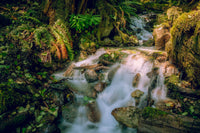 Baker Waterfall Wall Art