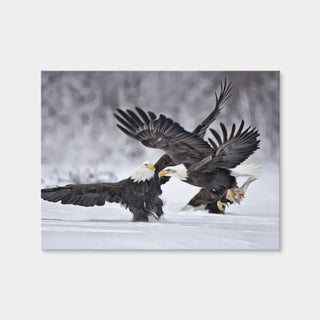 AUTO-MOCKUP WHITE | Bald Eagles | 1 Piece | Gallery Wrap Canvas | group=4x3