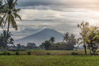 Bali Landscape Wall Art