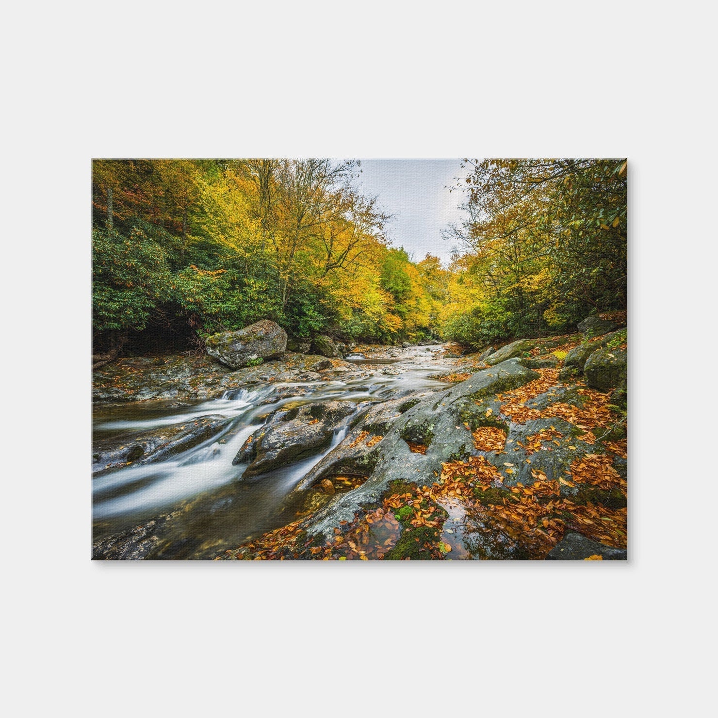 AUTO-MOCKUP WHITE | Balsam Grove North Carolina | 1 Piece | Gallery Wrap Canvas | group=4x3