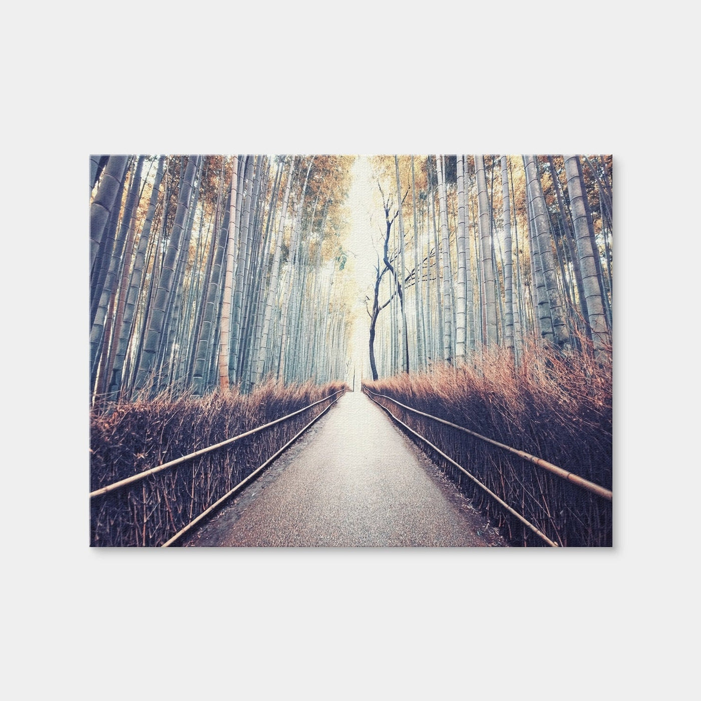 AUTO-MOCKUP WHITE | Bamboo Forest | 1 Piece | Gallery Wrap Canvas | group=4x3