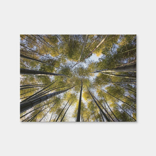 AUTO-MOCKUP WHITE | Bamboo Grove | 1 Piece | Gallery Wrap Canvas | group=4x3