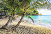 Banana Beach Wall Art