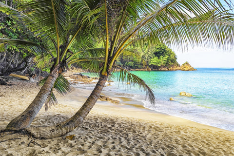 Banana Beach Wall Art