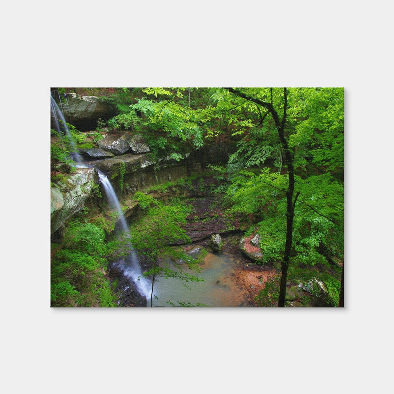 AUTO-MOCKUP WHITE | Bankhead National Forest | 1 Piece | Gallery Wrap Canvas | group=4x3