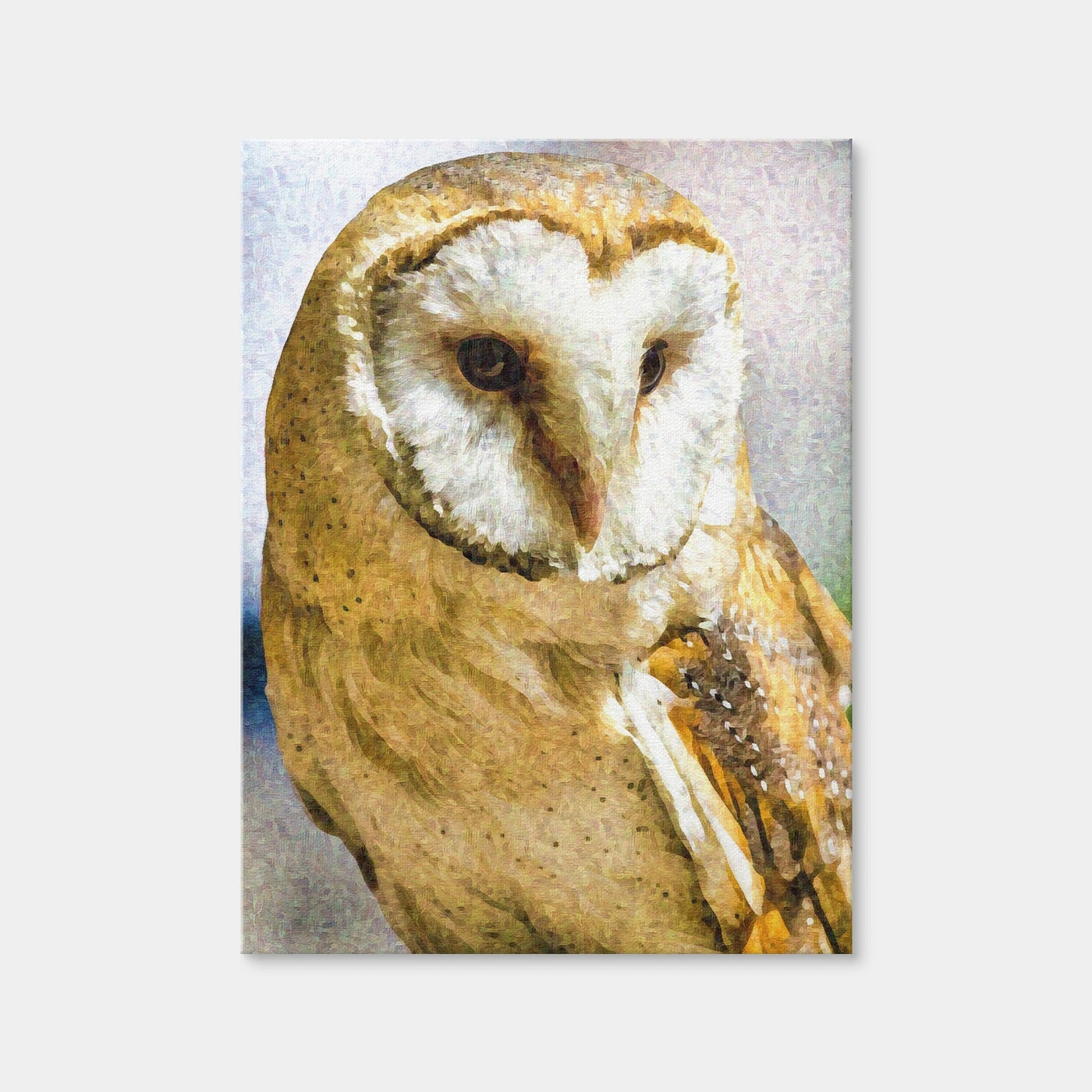 AUTO-MOCKUP WHITE | Barn Owl | 1 Piece | Gallery Wrap Canvas | group=3x4
